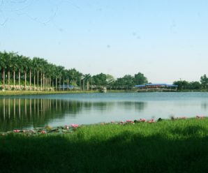Teambuilding: Khu du lịch sinh thái Ao Vua – Hà Nội
