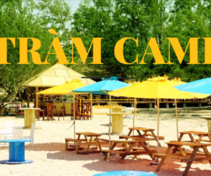 Teambuilding: Hồ Tràm Camping – Vũng Tàu