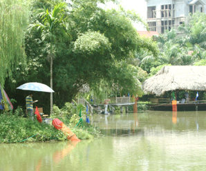 Teambuilding: Khu sinh thái Vườn Xoài – Hà Nội