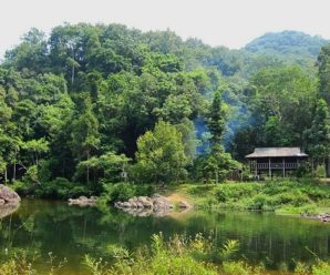 Teambuilding: Khu du lịch rừng tự nhiên Bằng Tạ – Hà Nội