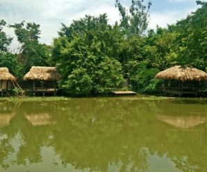 Teambuilding: Khu sinh thái Cọ Xanh – Hà Nội