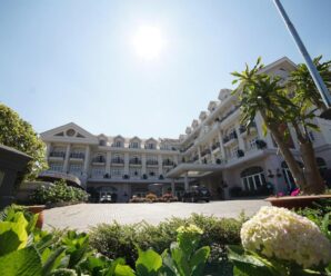 Giới thiệu khách sạn Sammy Hotel Đà Lạt 4 sao có gì, vị trí, phòng nghỉ,…